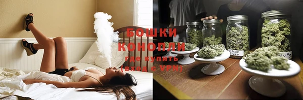 дурь Белокуриха