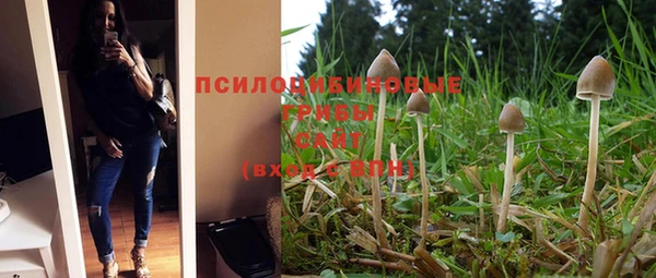 дурь Белокуриха