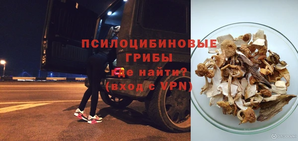 дурь Белокуриха