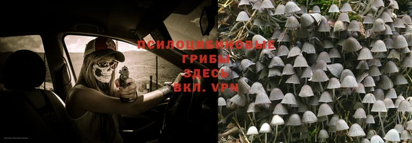 дурь Белокуриха