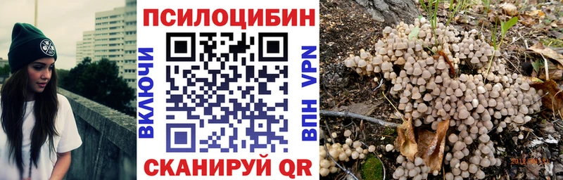 Галлюциногенные грибы MAGIC MUSHROOMS  Купить закладки  Ветлуга 